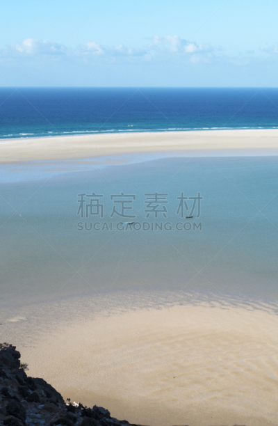 索科特拉岛,海滩,岛,非凡的,名声,威尼斯礁湖,大特写,莫斯特,一只动物,亚丁湾