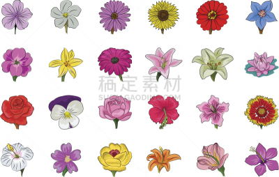 矢量,一个物体,动物手,紫露草属,锦葵科木槿属,黄花九轮草,六出花,铁线莲,樱草花,孤挺花
