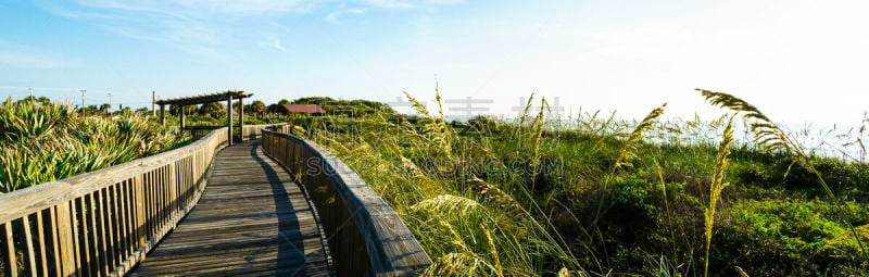 全景,海滩,自然,水平画幅,海岸野燕麦,无人,早晨,夏天,阴影,户外