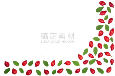 留白,顶部,浆果,分离着色,式样,白色背景,视角,蔷薇果,平铺,文字