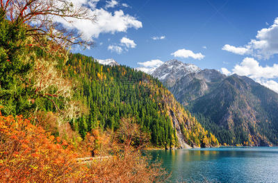 树林,山,风景,秋天,长湖,水,天空,水平画幅,雪,纯净