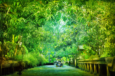 河流,当能沙朵水上市场,水,水平画幅,运河,热带雨林,夏天,异国情调,户外,泰国