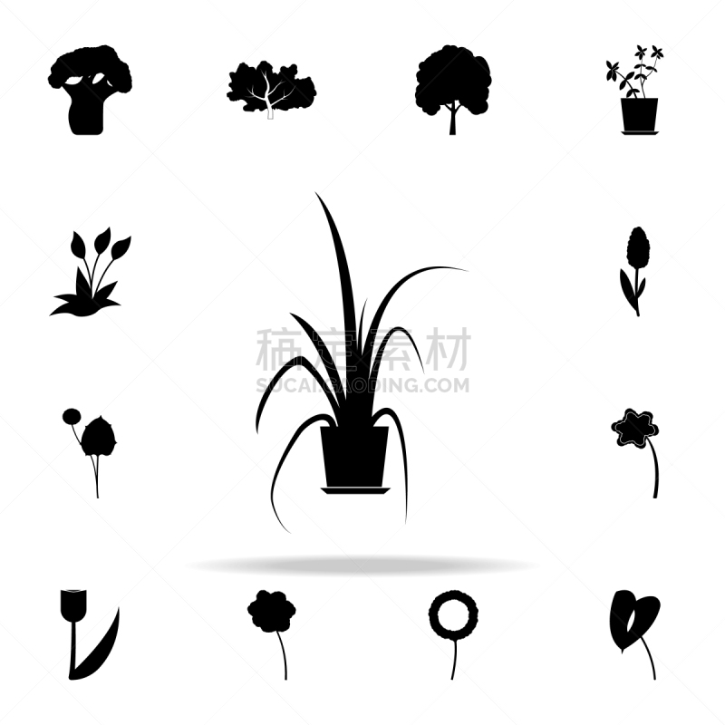 中国常绿植物,计算机图标,全球通讯,植物群,蜘蛛网,美,艺术,无人,绘画插图,符号