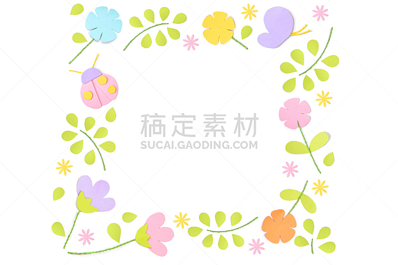 边框,春天,白色背景,方形画幅,可爱的,背景分离,泰国,植物,夏天,纹理