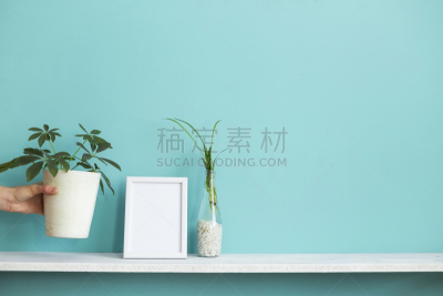极简构图,蜘蛛草,相框,架子,手,墙,彩色蜡笔,装饰,涉水,下移