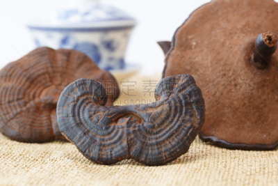 灵芝,替代医药,半熟品,中医,水平画幅,无人,有机食品,白色背景,干的,永远