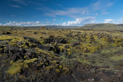 地衣,背景,岩石,火山,风景,苔藓,冰岛国,山,熔岩,南