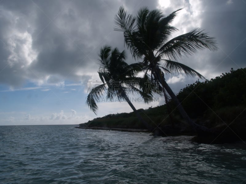 棕榈树,bahia honda key,佛罗里达群岛,水平画幅,无人,大西洋,佛罗里达,海洋,热带气候,墨西哥湾沿岸国家