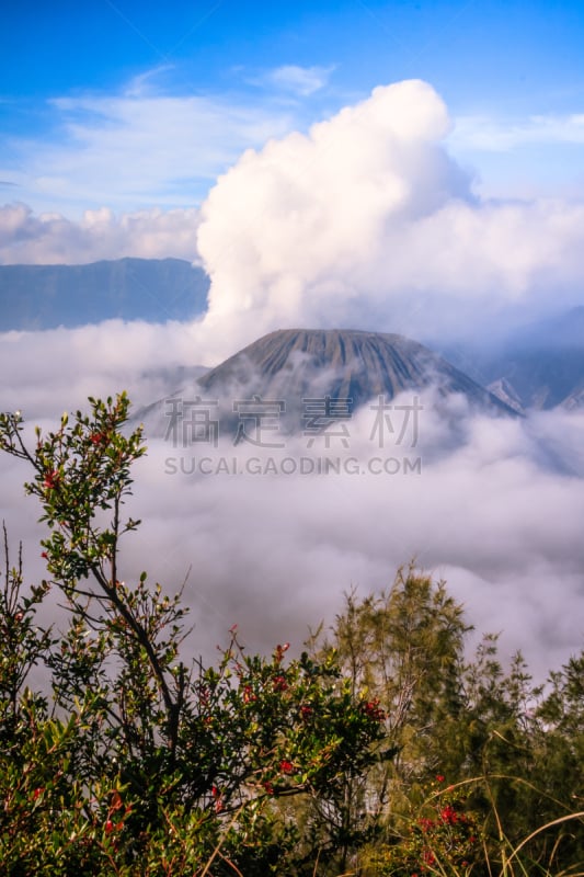 婆罗摩火山,爪哇,自然,垂直画幅,旅游目的地,地形,无人,户外,火山,山