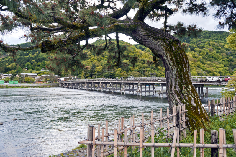 渡月桥,katsura,岚山,京都府,河流,日本,在上面,名声,水,美