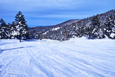 滑雪坡,天空,山之内町,里山,度假胜地,休闲活动,水平画幅,山,雪,长野县