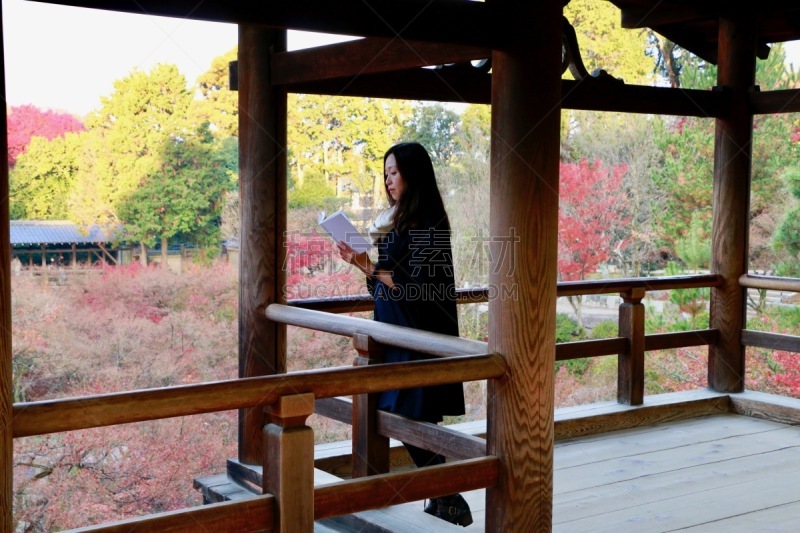 东福寺,女人,京都府,美,留白,水平画幅,美人,户外,仅成年人