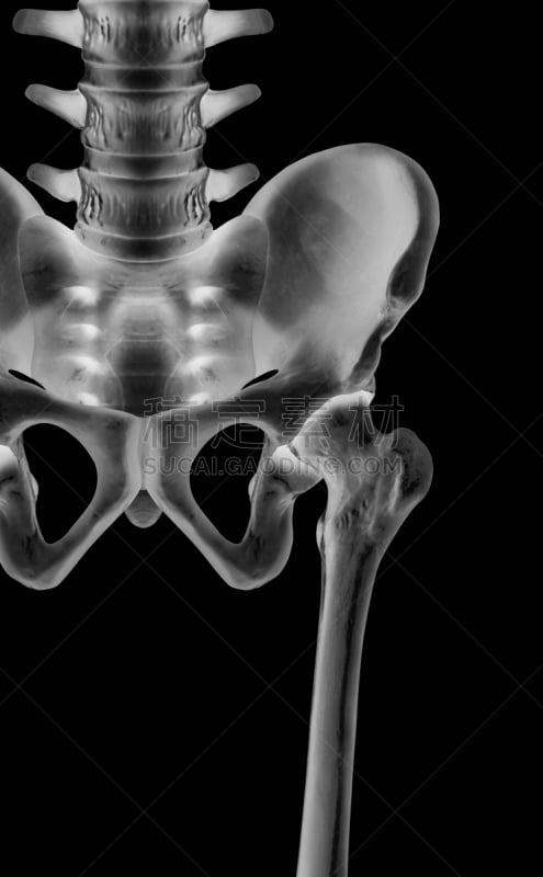 人类骨架,x光,健康保健,生物医学插图,,分离着色,概念,三维图形,黑色背景