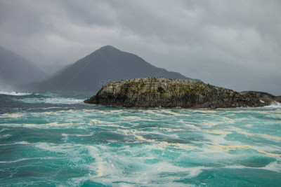 doubtful sound,自然,水,野生动物,水平画幅,绿色,地形,瀑布,无人