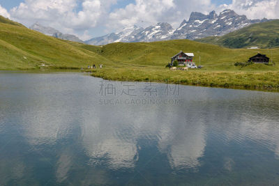 湖,瑞士,风景,瑞士阿尔卑斯山,草,恩格尔伯格,泻湖,夏天,户外,晴朗