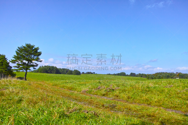 轻井泽町,北岳山,大农场,浅间山火山,群马县,避暑圣地,草垛,草地围场,木板路,度假胜地