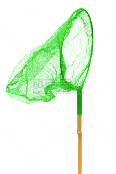 蝴蝶网,绿色,白色背景,背景分离,透明,一个物体,垂直画幅,玩具,图像,现代