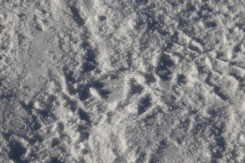 雪,冬天,脚印,小路,运动跑道,水,纹理效果,爪子,动物身体部位,光