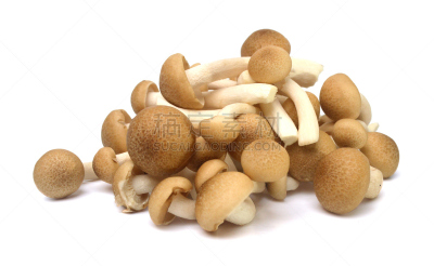 褐色,山毛榉树,姬菇,蘑菇,白色背景,食用菌,分离着色,水平画幅,云,食品杂货