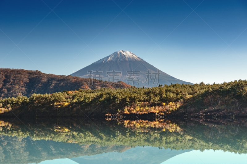 saiko lake,日本,富士山,塔,在上面,自然,非都市风光,湖岸,旅游目的地,水平画幅