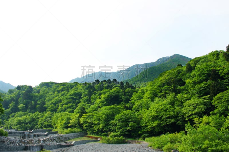 daisen,自然,风景,图像,自然美,无人,里山,河流,瀑布,岩石