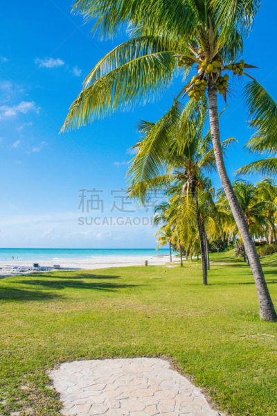 海滩,古巴,俄亥俄河,小路,垂直画幅,沙子,无人,夏天,户外,拉丁美洲