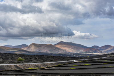 兰萨罗特岛,园艺,居住区,葡萄,洛杉矶,timanfaya national park,玫瑰香葡萄,水平画幅,山,无人