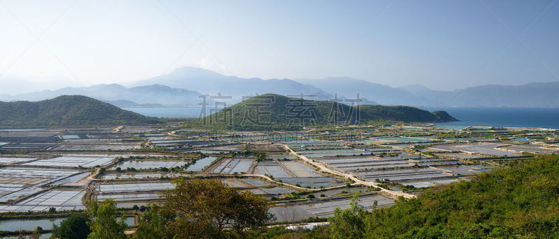 全景,越南中部,宁顺,正面视角,水平画幅,无人,户外,东方食品,田地,越南