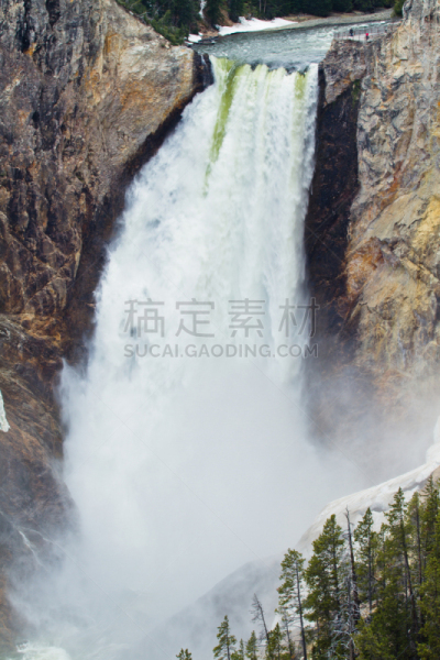 低地瀑布,黄石河,杰克逊霍尔,杰克森,杰克逊,黄石公园,自然,垂直画幅,水,美国西部