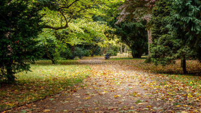 Dresden Großer Garten
