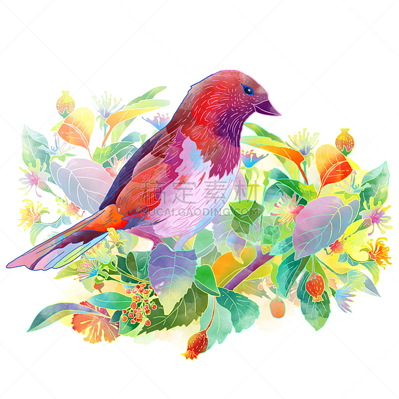 鸟类,叶子,仅一朵花,浆果,自然,式样,纺织品,秋天,绘画插图,画画