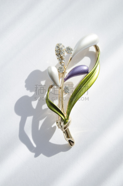 胸针,垂直画幅,美,宝石,艺术,符号,珠宝,俄罗斯,白色,植物
