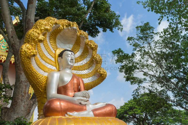 Buddha satue sitting with king of naga