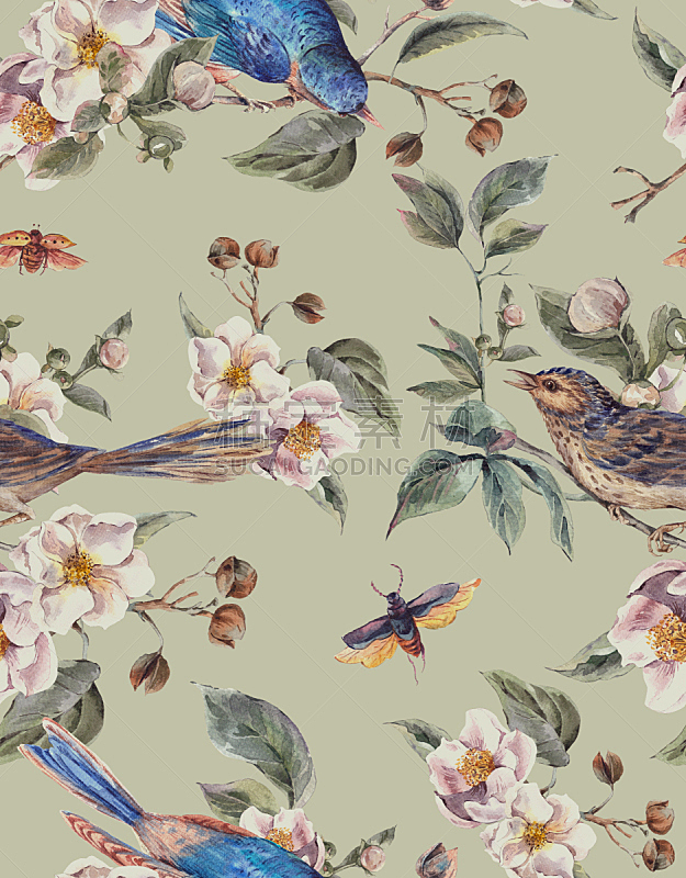 鸟类,春天,背景,水彩画,维多利亚女王时代风格,垂直画幅,贺卡,纺织品,问候