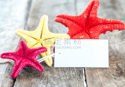 海星,贺卡,普通海星,留白,褐色,水平画幅,无人,纪念品,海洋生命,干的