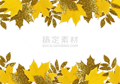 叶子,黄金,秋天,黄色,国境线,在底端,闪烁发光,留白,边框,水平画幅