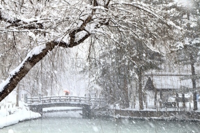 女人,桥,公园,水平画幅,雪,户外,北海道,红色,池塘,2015年