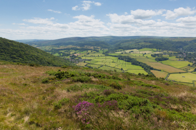 萨默塞特,英格兰,英国,风景,exmoor,庞洛克,迈恩黑德,停泊的,旷野,摩尔人风格