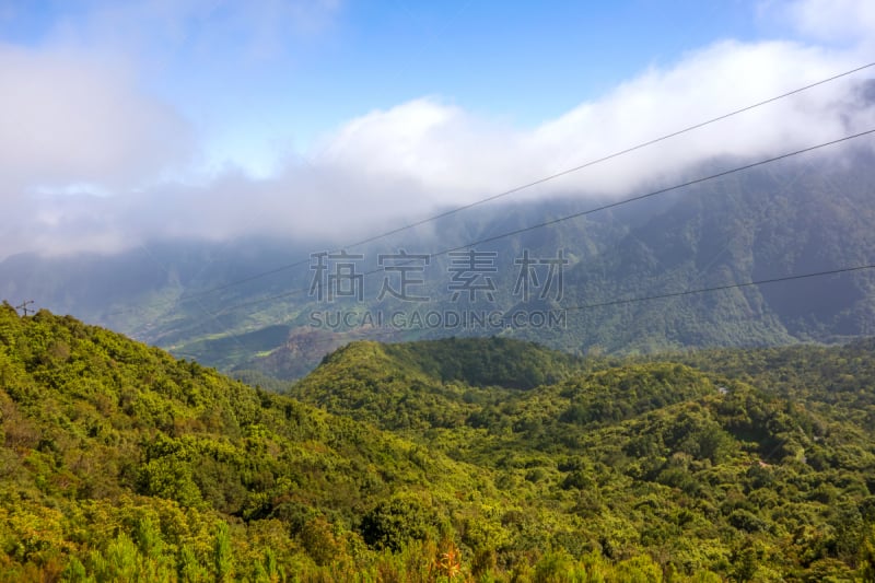 山,马德拉,森林,地形,山谷,水平画幅,无人,大西洋,大西洋群岛,夏天