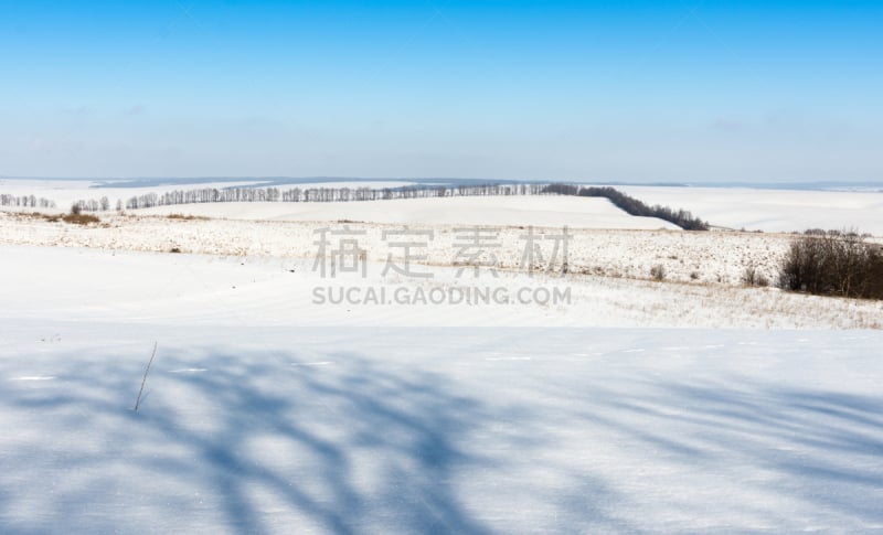 冬天,格林威治村,寒冷,环境,霜,雪,天气,背景,户外,天空