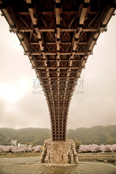 桥,彩色图片,岩国,锦带桥,广岛县,传统,著名景点,古典式,河流,复古