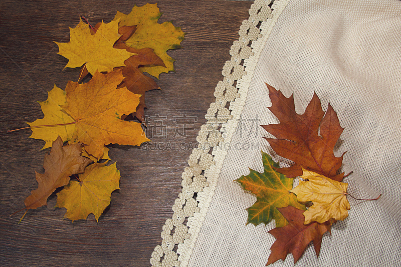 叶子,桌子,秋天,背景,边框,自然,艺术,水平画幅,纺织品,平视角