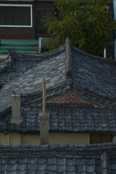 屋顶,蔚山,垂直画幅,瓦,建筑,无人,城市生活,建筑外部,户外,房屋