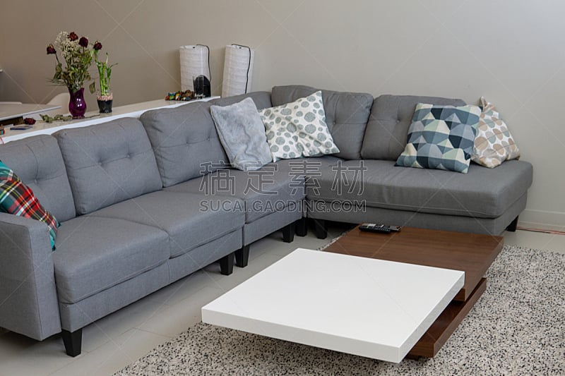起居室,极简构图,华贵,舒服,软垫,地板,椅子,加拿大,沙发,现代