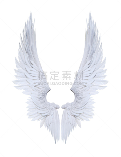 白色,天使,翅膀,分离着色,白色背景,羽毛,垂直画幅,天空,优美,绘画插图