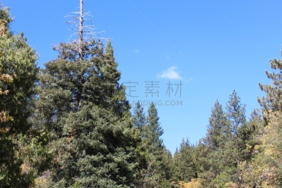 湖,绿色,山谷,云,枝繁叶茂,松树,植物,自然荒野区,户外,高处
