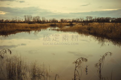 水,黄色,海岸线,房屋,湖,叶子,秋天,树,挨着,反射