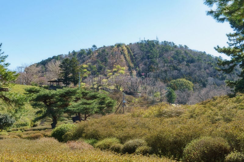 山,伊东,城市,著名景点,春天,静冈县,户外活动,休闲活动,户外,天空