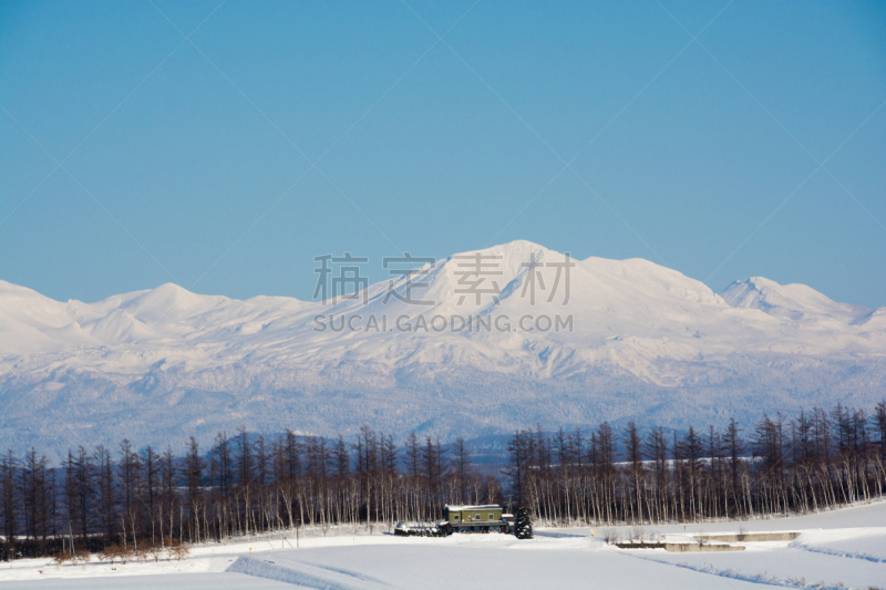 天空,冬天,山,海洋,派恩赫斯特,大雪山,旭岳火山,日本落叶松,美瑛町,落叶松