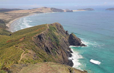 悬崖,cape reinga,小路,自然,水,美,半岛,旅游目的地,水平画幅,地形
